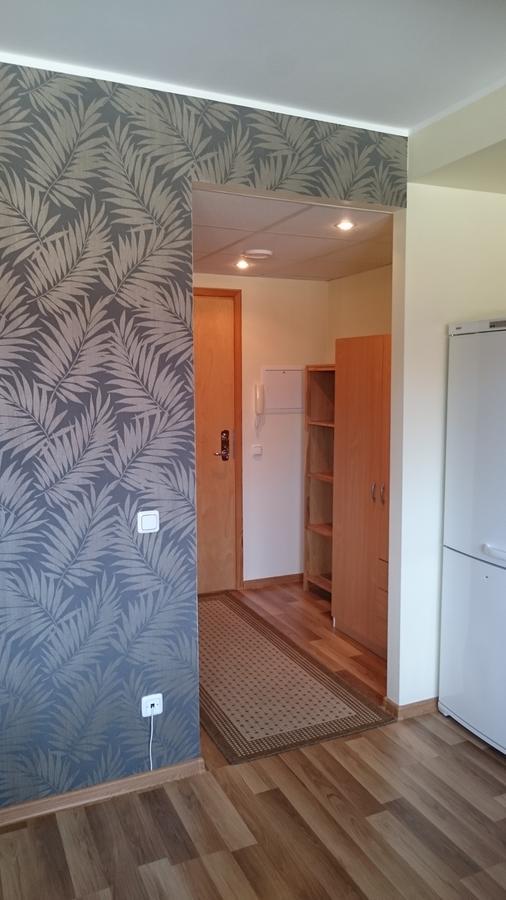 Paernu City Center Apartment Экстерьер фото